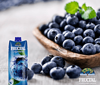 Fructal 1L Superior-Blueberry