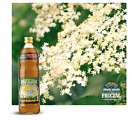 Fructal Syrup 1L 6pack-Elder Berry