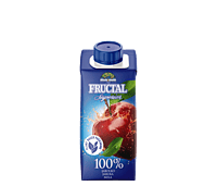 Fructal Tetra Edge 200ml 24pack-Apple