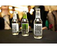 Fructal 200 mL Tonic-Dry Bitter Fructal 200 mL Tonic-Dry Bitter