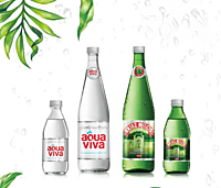 Aqua Viva-750 mL 12 pack