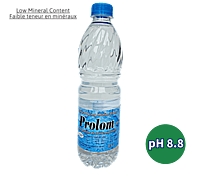 Prolom-0.5L x 12