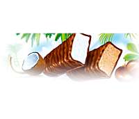 PIONIR - Coconut Desert Bar 30g/24 KOKOS DESERT PIONIR - Coconut Desert Bar 30g/24 KOKOS DESERT